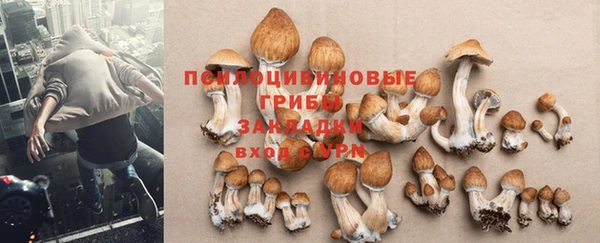 гидропоника Алексин