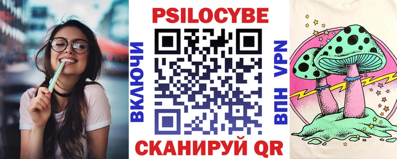 kraken вход Котельники Галлюциногенные грибы Cubensis